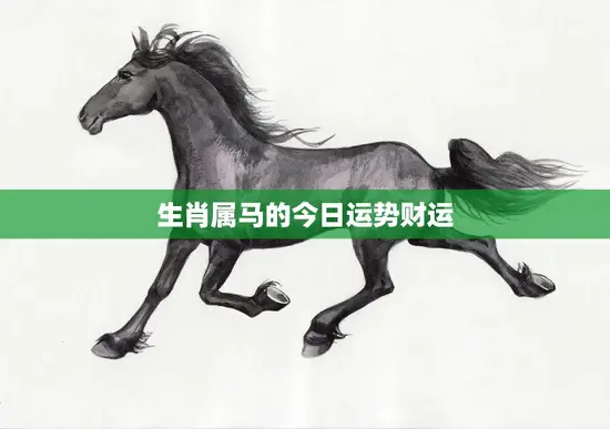 生肖属马的今日运势财运(财运亨通财源滚滚来)