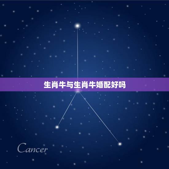 生肖牛与生肖牛婚配好吗，属牛的和属牛的配吗？