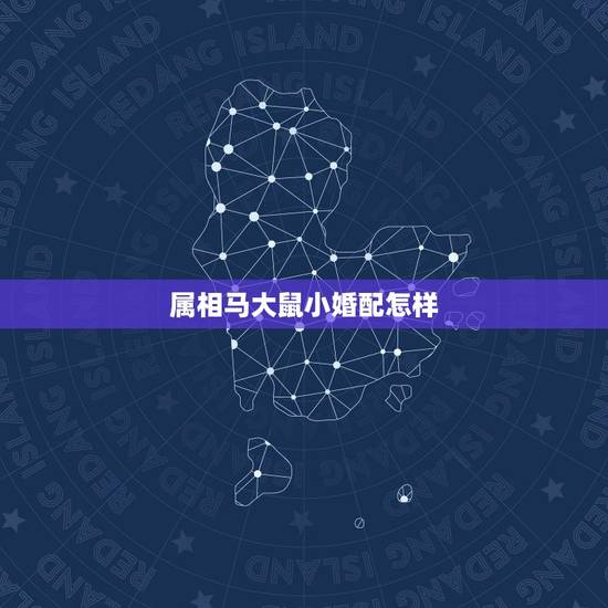 属相马大鼠小婚配怎样，属马的属相婚配表