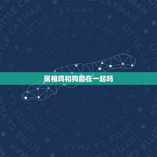 属相鸡和狗能在一起吗，鸡和狗能生活在一起吗婚姻运气财运健康