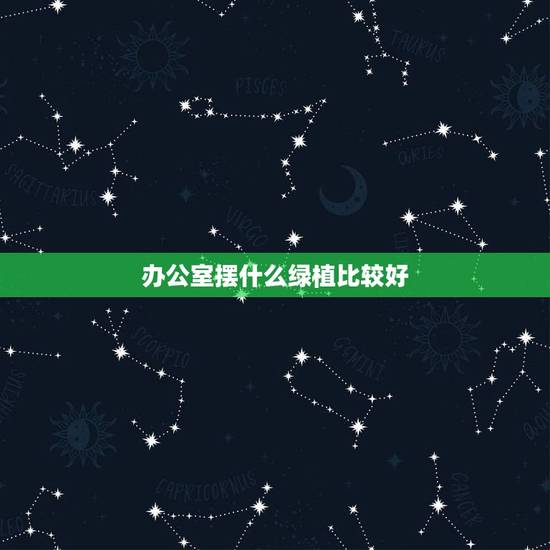 办公室摆什么绿植比较好,办公室里放什么绿植更能净化空气? 办公室摆什么绿植比较好,办公室里放什么绿植更能净化空气?