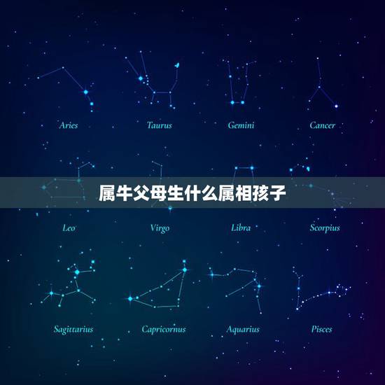 属牛父母生什么属相孩子,属牛父母生什么属相宝宝 属牛父母生什么属相孩子,属牛父母生什么属相宝宝
