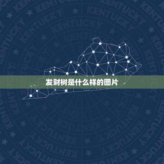 发财树是什么样的图片,有发财树的图片吗 发财树是什么样的图片,有发财树的图片吗