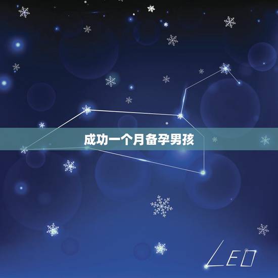 成功一个月备孕男孩,如何备孕调理身体生男孩子? 成功一个月备孕男孩,如何备孕调理身体生男孩子?