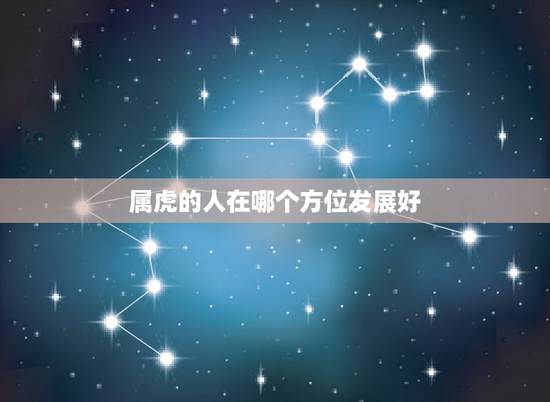 属虎的人在哪个方位发展好,属虎人适合在哪个方向做生意 属虎的人在哪个方位发展好,属虎人适合在哪个方向做生意