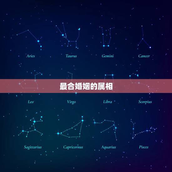 最合婚姻的属相，属相与婚姻？