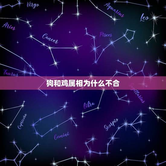 狗和鸡属相为什么不合,属狗的和属鸡的结婚真的不合吗 狗和鸡属相为什么不合,属狗的和属鸡的结婚真的不合吗