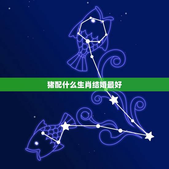 猪配什么生肖结婚最好,1983年属猪女的和什么属相最配 猪配什么生肖结婚最好,1983年属猪女的和什么属相最配