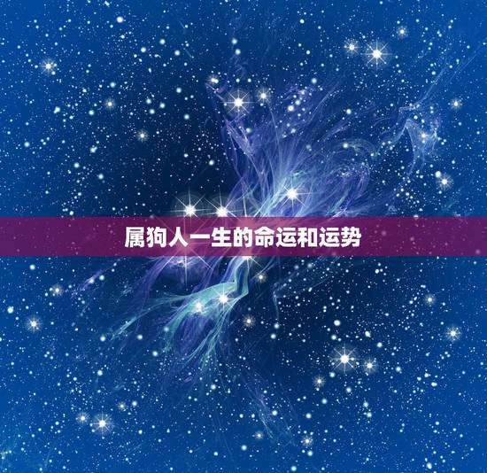 属狗人一生的命运和运势,1982年属狗人一生命运 属狗人一生的命运和运势,1982年属狗人一生命运