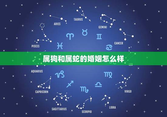 属狗和属蛇的婚姻怎么样，属狗男和什么属相最配