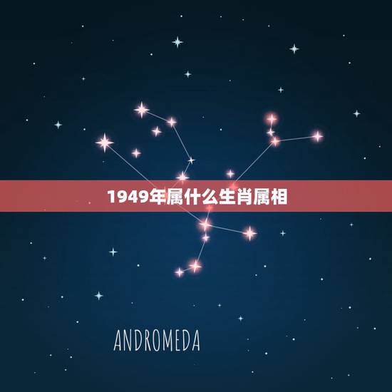1949年属什么生肖属相，1949年属于什么生肖