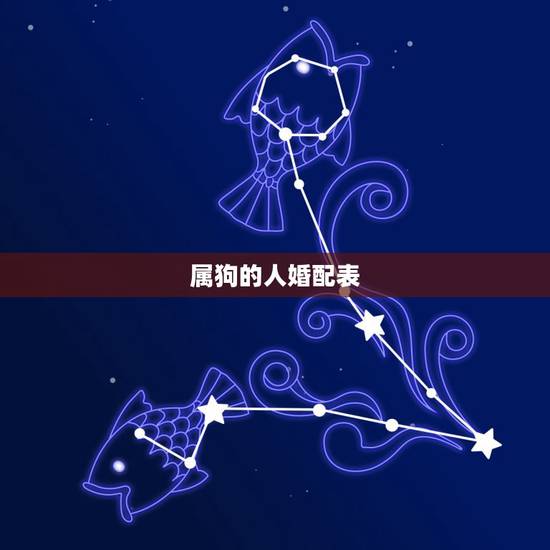 属狗的人婚配表，属狗的和什么属相最配