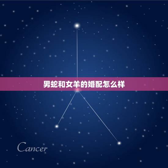 男蛇和女羊的婚配怎么样,属蛇男和属羊女婚配如何 男蛇和女羊的婚配怎么样,属蛇男和属羊女婚配如何