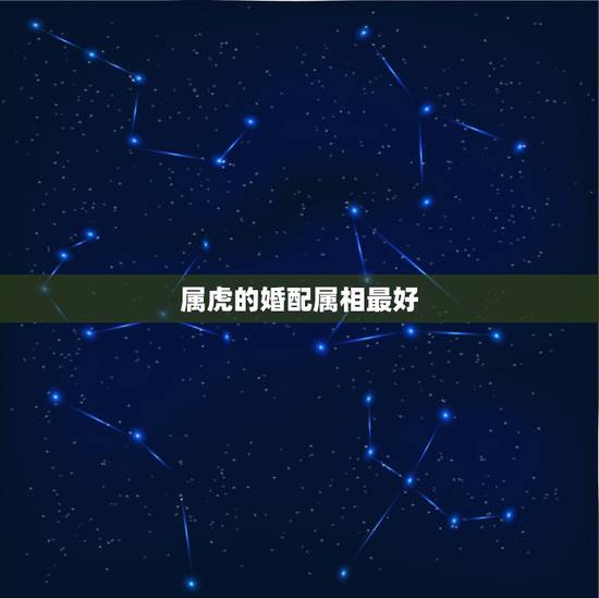 属虎的婚配属相最好,属虎的和什么属相最配 属虎的婚配属相最好,属虎的和什么属相最配