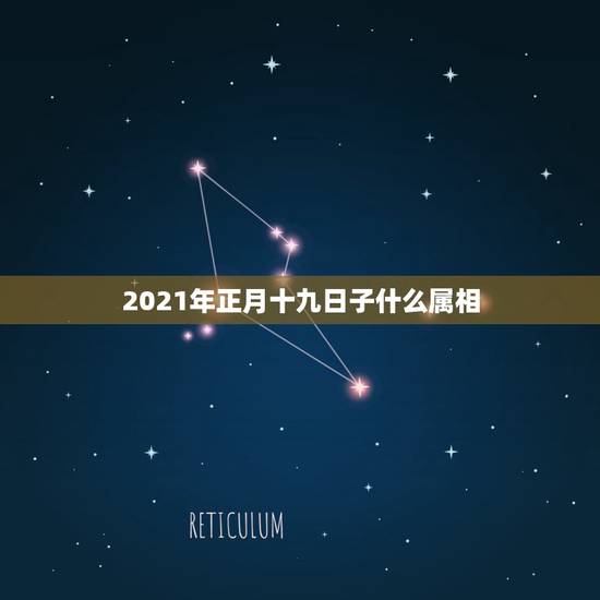 2021年正月十九日子什么属相,2023年明天正月19在十二生肖中属于 2021年正月十九日子什么属相,2023年明天正月19在十二生肖中属于