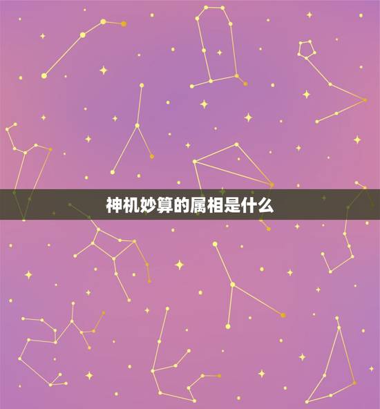 神机妙算的属相是什么，神机妙算——打一生肖