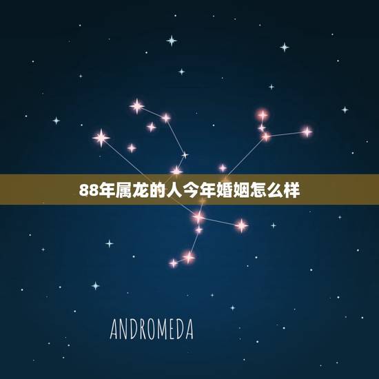 88年属龙的人今年婚姻怎么样,1988年男属龙人婚姻晚 88年属龙的人今年婚姻怎么样,1988年男属龙人婚姻晚
