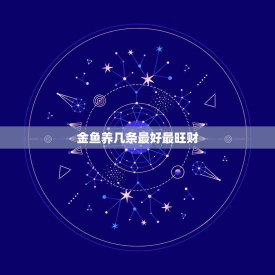 金鱼养几条最好最旺财，家里养几条金鱼风水更好