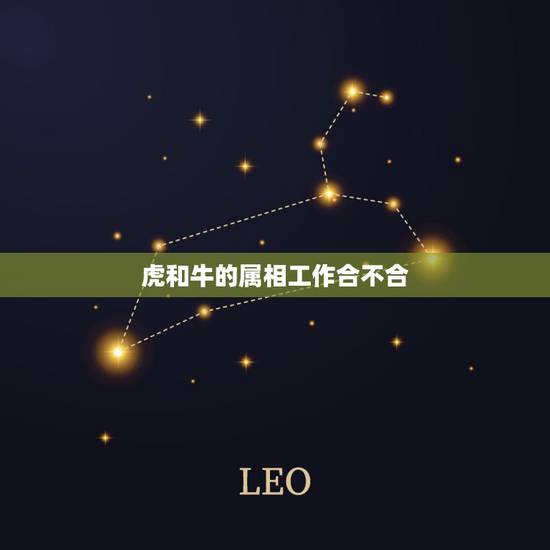 虎和牛的属相工作合不合，属牛和属虎在一起上班财运