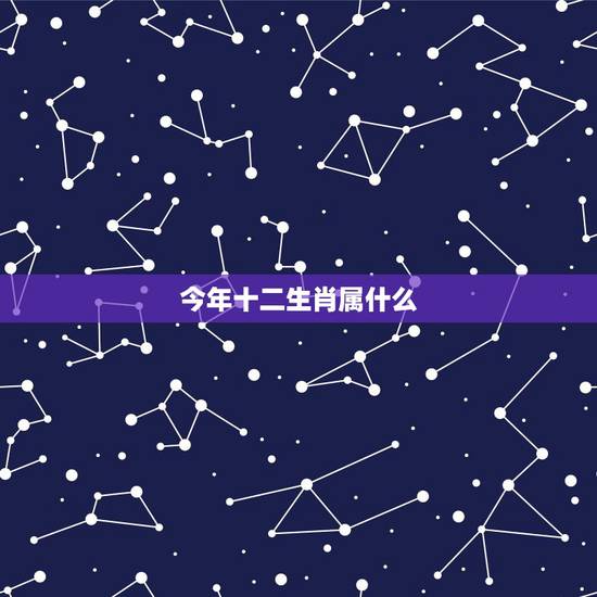 今年十二生肖属什么，十二生肖婚姻配对大全