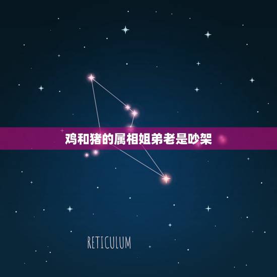 鸡和猪的属相姐弟老是吵架，男的属鸡女人属猪为啥总是闹矛盾呢？