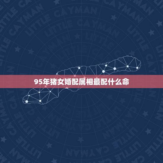 95年猪女婚配属相最配什么命，95年属猪的女和什么属相最配