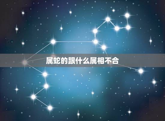 属蛇的跟什么属相不合，属虎的跟什么属相上等婚