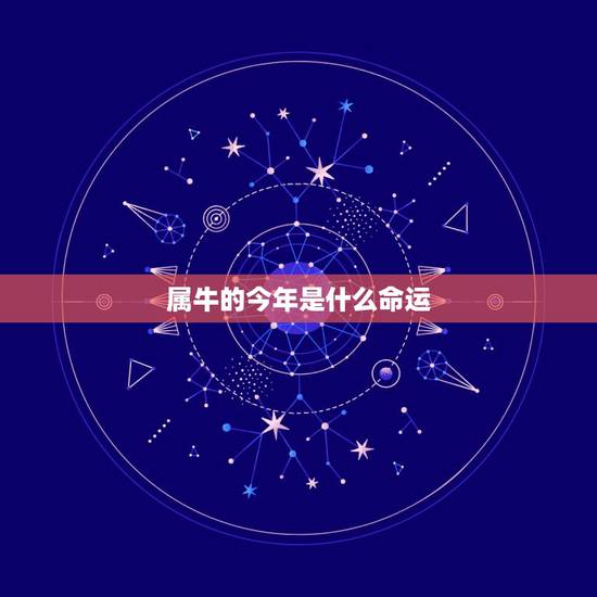 属牛的今年是什么命运，属牛1985年出生是什么命