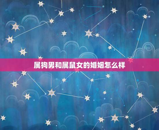 属狗男和属鼠女的婚姻怎么样，属狗男和属鼠女结合的婚姻难道没有缘份吗