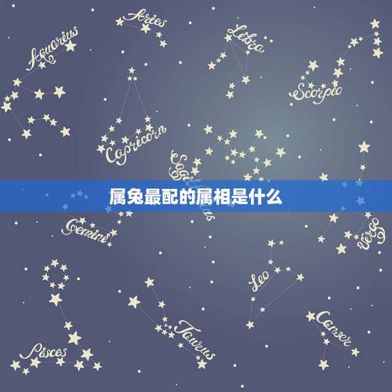 属兔最配的属相是什么，属兔的男人和什么属相最般配