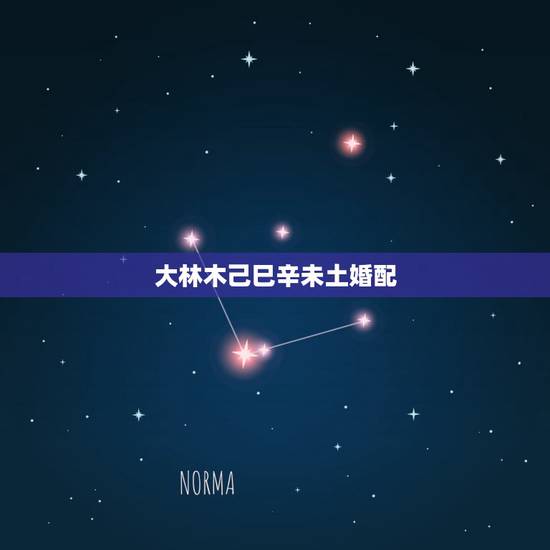 大林木己巳辛未土婚配，女大林木命和男路旁土命适合在一起么，急求，谢谢。