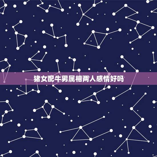 猪女配牛男属相两人感情好吗,猪女和牛男的姻缘 猪女配牛男属相两人感情好吗,猪女和牛男的姻缘