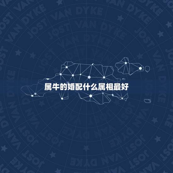 属牛的婚配什么属相最好，属牛男的和什么属相女最配
