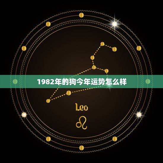 1982年的狗今年运势怎么样，1982年属狗今年运势