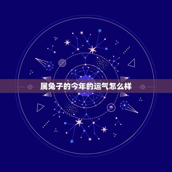 属兔子的今年的运气怎么样，2022 年属兔的运势和财运