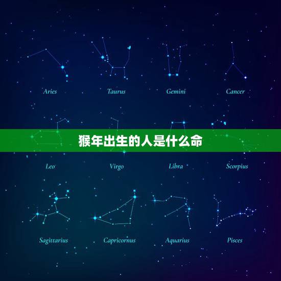 猴年出生的人是什么命,蛇年是什么命 猴年出生的人是什么命,蛇年是什么命