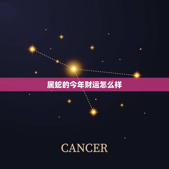 属蛇的今年财运怎么样，2022 年蛇的婚姻