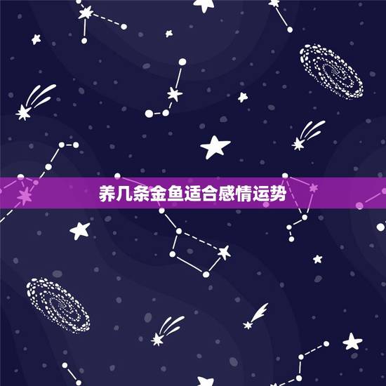 养几条金鱼适合感情运势，我想养几条金鱼当风水鱼，养几条比较好啊？
