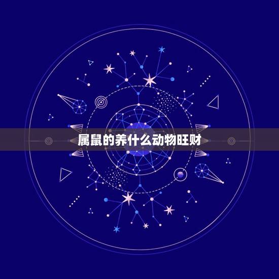属鼠的养什么动物旺财，生肖鼠适合做什么行业