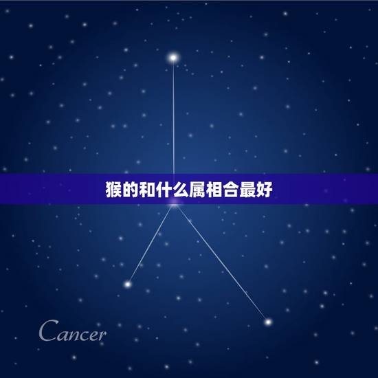 猴的和什么属相合最好，属猴男人和什么属相结合最好