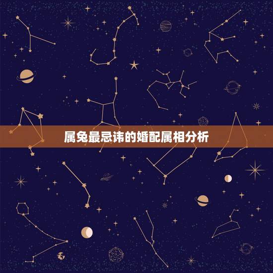属兔最忌讳的婚配属相分析,属兔的最适合什么属相 属兔最忌讳的婚配属相分析,属兔的最适合什么属相