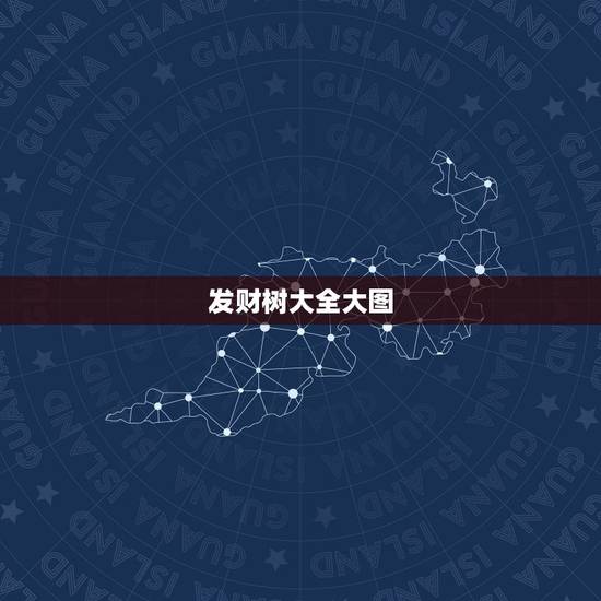 发财树大全大图,发财树图都有哪些种类 发财树大全大图,发财树图都有哪些种类