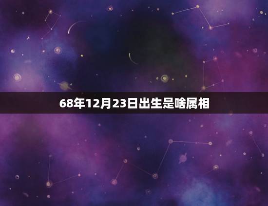 68年12月23日出生是啥属相，阳历1968年12月23日五行属什麼