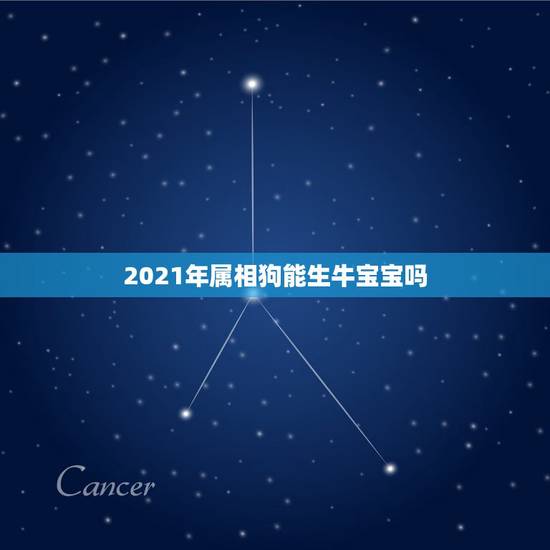 2021年属相狗能生牛宝宝吗，属狗爸爸生牛宝宝好吗