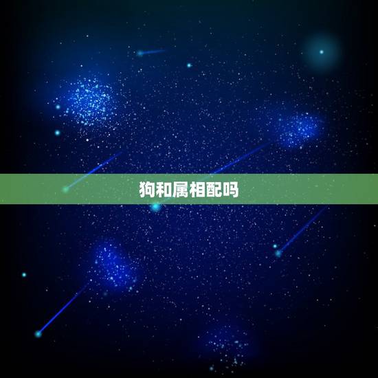 狗和属相配吗，鼠和属狗适合做夫妻吗 属相婚配鼠配狗合不合