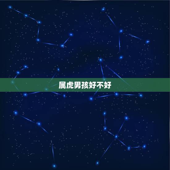 属虎男孩好不好,虎年的男人是怎么样的 属虎男孩好不好,虎年的男人是怎么样的