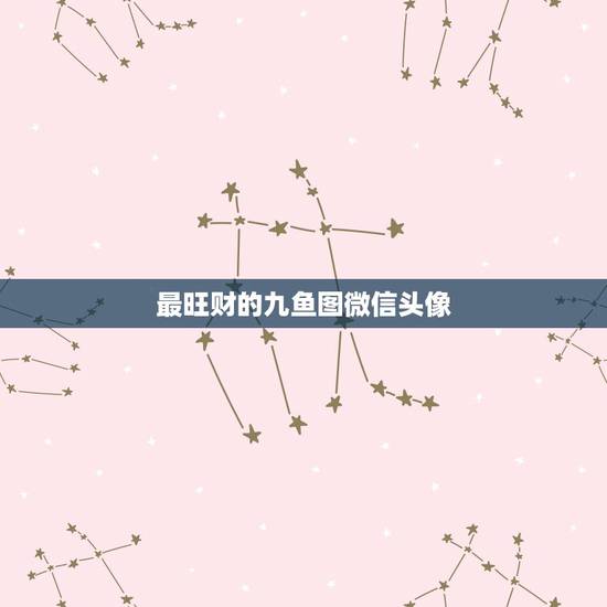 最旺财的九鱼图微信头像，九鱼图寓意是什么？