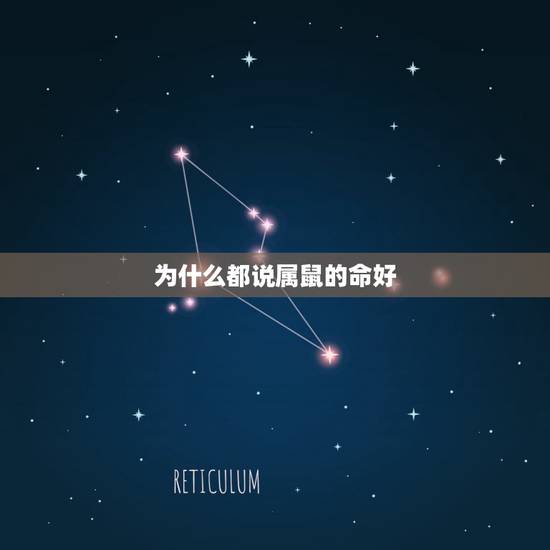 为什么都说属鼠的命好，女鼠和男蛇做夫妻好不好