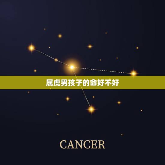 属虎男孩子的命好不好,生肖虎更佳出生时辰 属虎男孩子的命好不好,生肖虎更佳出生时辰