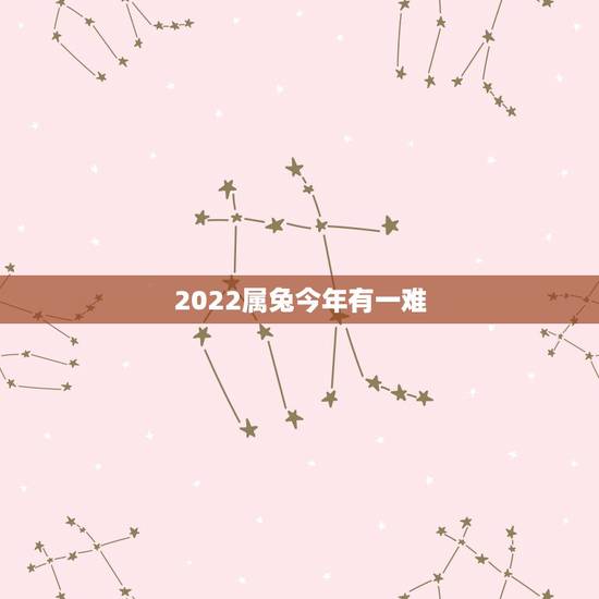 2022属兔今年有一难，土兔2022学业运